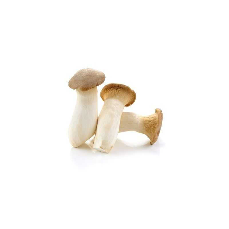 Fungus Erungi Nấm đùi gà 200g - FEE