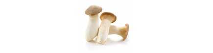 Champignon Erungi Nấm đùi gà 200g - FRAIS