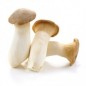 Fungus Erungi Nấm đùi gà 200g - FEE