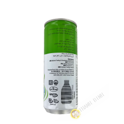 Boisson au melon et au lait POKKA 240ml Singapour