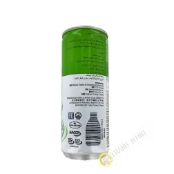 Pokka Melone und Milchgetränk 240ml Singapur
