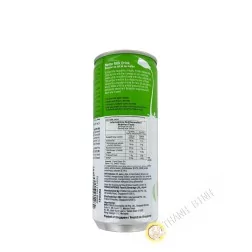 Boisson au melon et au lait POKKA 240ml Singapour