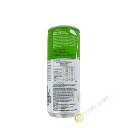 Boisson au melon et au lait  POKKA 240ml Singapour