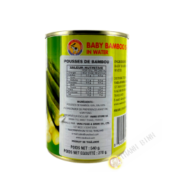 Brotes de bambú 540g TAS MARCA Tailandia