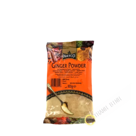 Ginger powder TRS 100g India