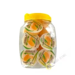 Gelée pudding nata coco aloe vera mangue COCON 16pcsx80g Malasie