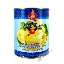 Champignon bailing pleurote au nature EAGLOBE 850g Chine