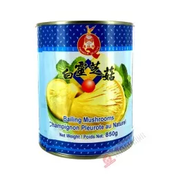 Champignon bailing pleurote au nature EAGLOBE 850g Chine