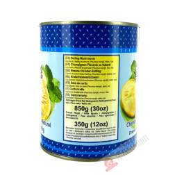 Salvataggio fungo oyster fungo con la natura EAGLOBE 850g Cina