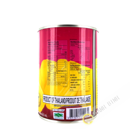 Frucht jacquier ganze schwerer sirup ELEPHANTS 565g Thailand