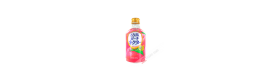 Bebida de néctar de melocotón DYDO 270ml Corea