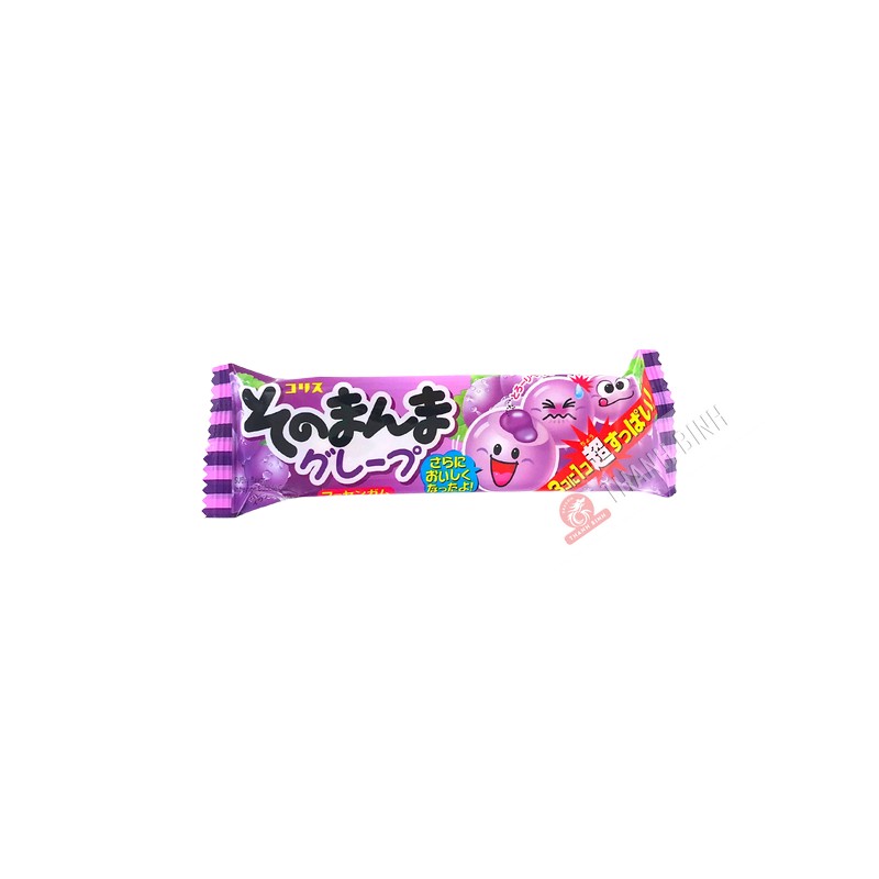 Chewing gum raisin 14.4g Corée