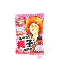 Süßigkeit Pflaume acid RIBON 70g Japan