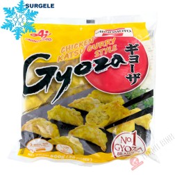 Gyoza poulet Katsu curry AJINOMOTO 600g Thailande - SURGELES