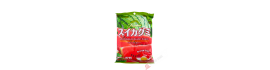 Bonbon gummy pastèque 102g Japon