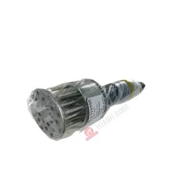 Kim tiêm thịt Việt Nam