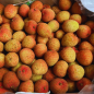 Lychee - Vai thieu Vietnam (1kg) - FRAIS Lychee - Vai thieu Vietnam (1kg) - FRAIS