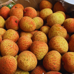 Litchi - Vai Vietnam (1kg) -  FRAIS