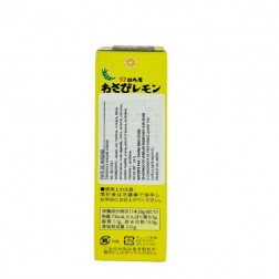 Pâte de wasabi au citron 28g Japon