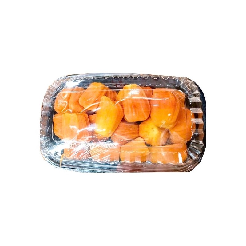 Frucht (Jack Fruit Jacquier