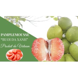 Los Pomelos de Vietnam (la pieza)