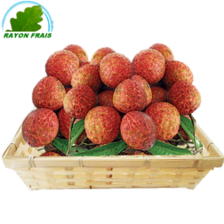 Lychee - Litchi - Vai Thieu Vietnam (kg)