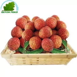 Lychee - Litchi - Vai Thieu Vietnam (kg)