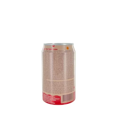 Buble tea thé glacé pomme HONG 320ml Taiwan
