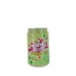 Buble tea thé vert poire melon HONG 320ml Taiwan
