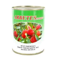 Arbutus in syrup DRAGON 567g China