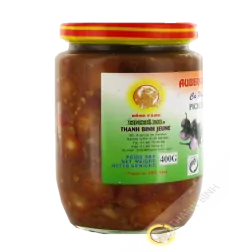 La salsa di melanzane viet 400g