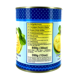 Seta de ostra de setas de rescate con LÓBULO de águila natural 850g China