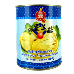 Austernpilz-Pilz in der Natur EA GLOBE 850g China