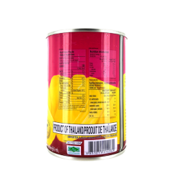 Frucht jacquier ganze schwerer sirup ELEPHANTS 565g Thailand