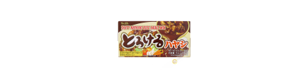 Tablet spezzatino gustoso hayasi riso salsa mix SB 160g Giappone