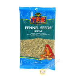 Fenouil en grain TRS 100g Inde