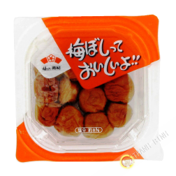 Prugna umeboshi te oishiiyo NANKI 150g Giappone