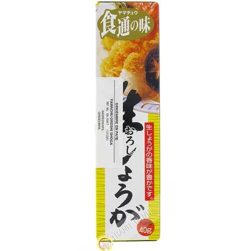 Purée de gingembre en tube YAMACHU 40g Japon