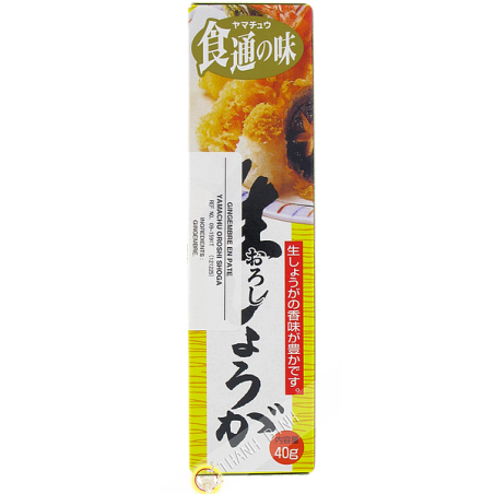 Puree the ginger in a tube YAMACHU 40g Japan