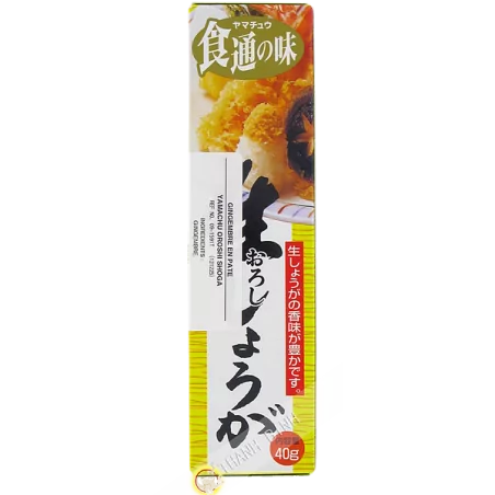 Mashed ginger 40g JP