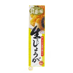 Puree the ginger in a tube YAMACHU 40g Japan