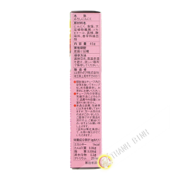 Purée d'ail en tube YAMACHU 40g Japon