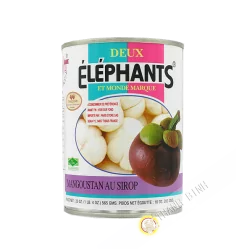 Mangostano sciroppo 565g