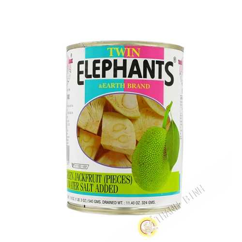 Jackfruit verde ELEFANTI 540g Thailandia