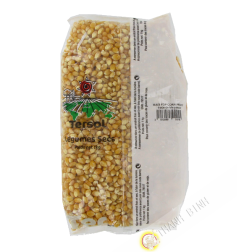 Mais pop corn TERSOL 1kg Francia
