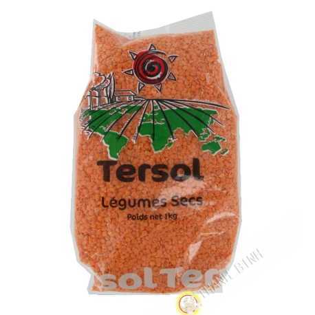 Lente de coral TERSOL 1kg