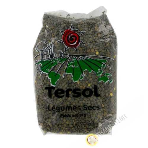 Lenses green TERSOL 1kg