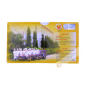 Thé vert HUNG PHAT 50g Vietnam