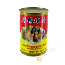 Champignon ostreatus EAGLOBE 425g Chine