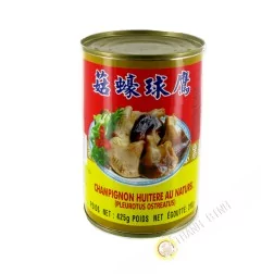 Ostreatus pilz EAGLOBE 425g China